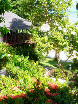 Seaview A/C (2 Bedrooms)